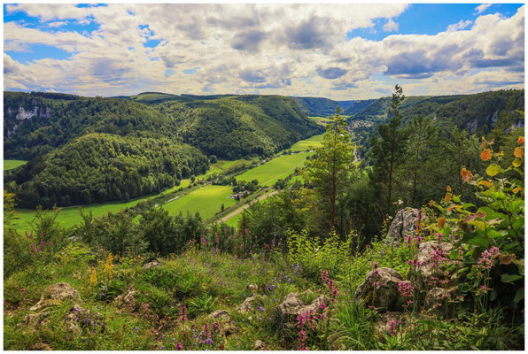 Blick vom Mühlefelsen in das Donautal 7976