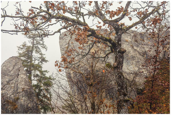 Beim Stiegelesfels 0185