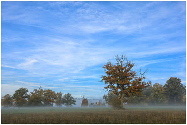 Herbstmorgen im Irndorfer Hardt 7820