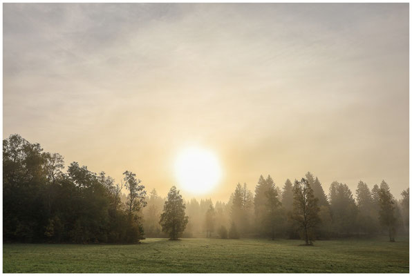 Morgenstimmung im Irndorfer Hardt 7858