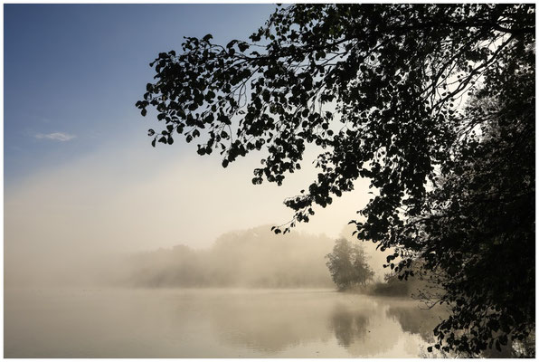 Uferlandschaft Schwackenreuter Seen mit Nebelresten 8837