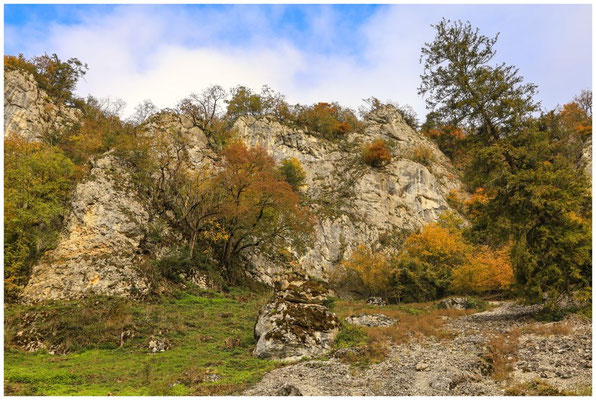 Jurakalksteinfelsen im Donautal 8108