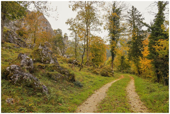 Wanderweg entlang der Donau 8135