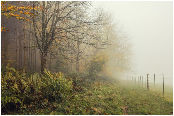 Wanderweg auf dem Bodanrück 4813