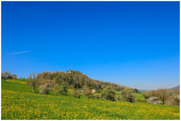 Mägdeberg mit Ruine bei Mühlhausen-Ehingen 0258