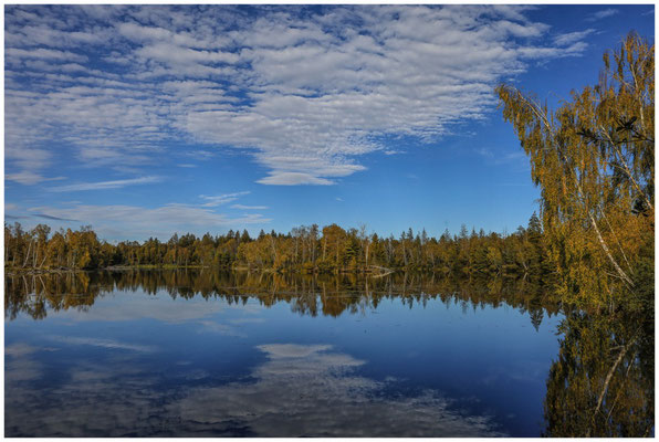 Wolkenspiegelung am Großen Vogelsee im Pfrunger-Burgweiler Ried 4439