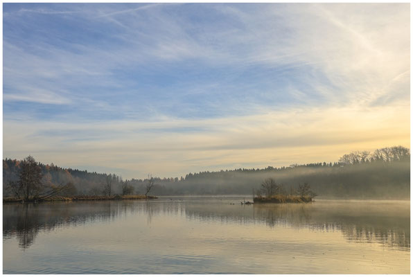 Uferlandschaft Schwackenreuter Seen 9153