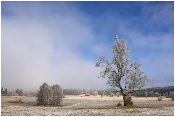Winterlandschaft Irndorfer Hardt 9507