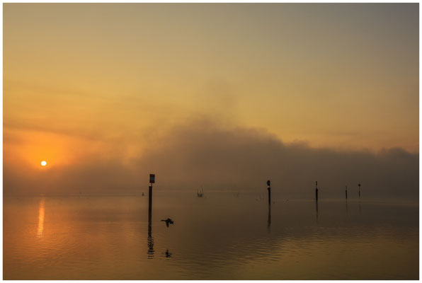 Sonnenaufgang über dem Zeller See mit Nebelschwaden 3501