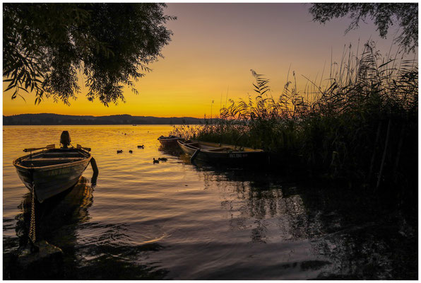 Morgendämmerung mit Fischerbooten auf der Insel Reichenau 0689