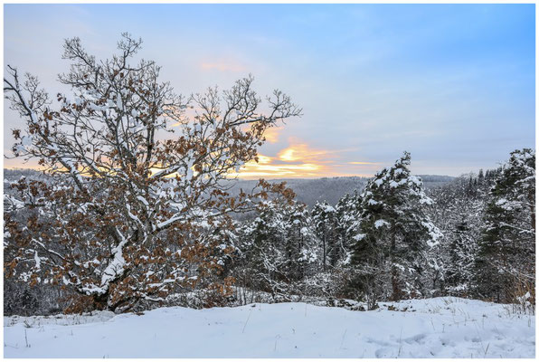 Abendstimmung beim Aussichtspunkt Rauher Fels 0517