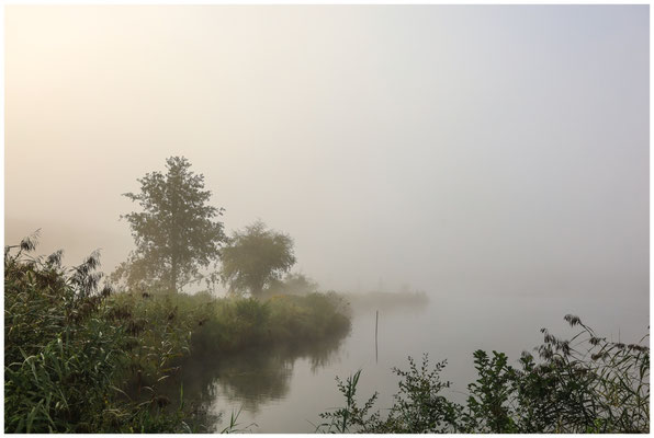 Uferlandschaft Schwackenreuter Seen 6982
