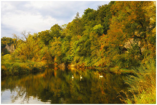 Die Donau bei Inzigkofen 7415