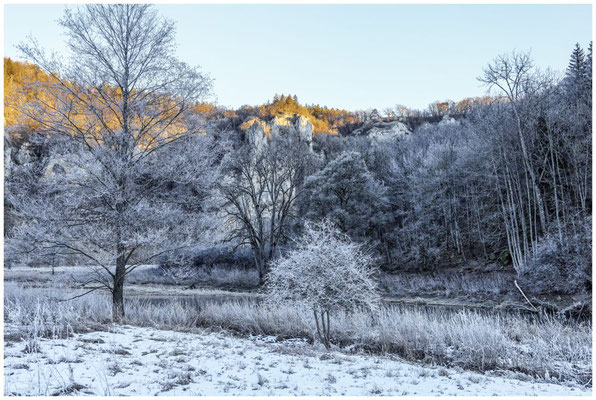 Uferlandschaft Donau bei Fridingen mit Raureif 0727