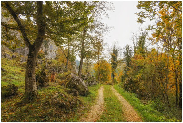 Wanderweg entlang der Donau 8133