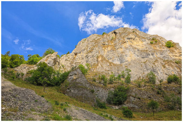 Jurakalksteinfelsen im Donautal 5943