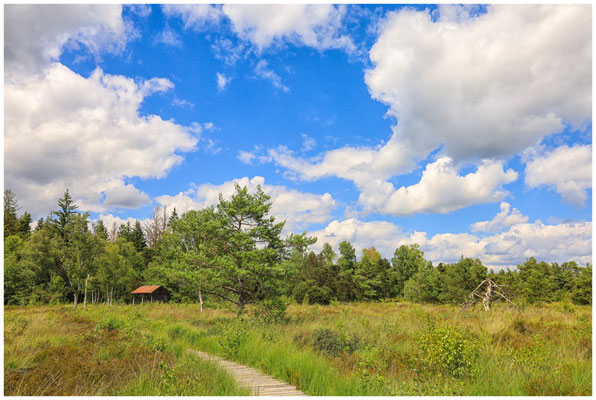 Riedlandschaft mit ehemaliger Torfhütte 6287