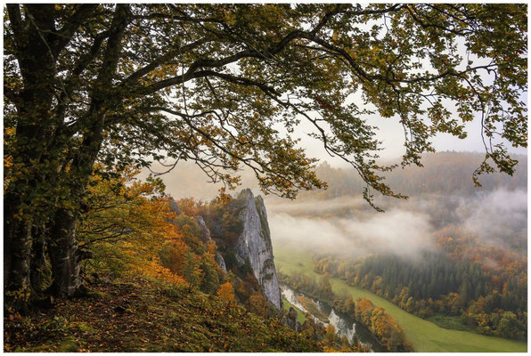 Letzte Nebelreste über der Donau 8611