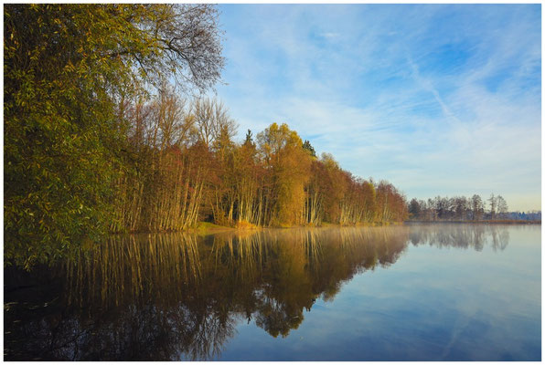 Uferlandschaft Schwackenreuter Seen 9160