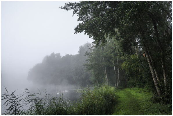 Morgendlicher Nebel über den Schwackenreuter Seen 6795