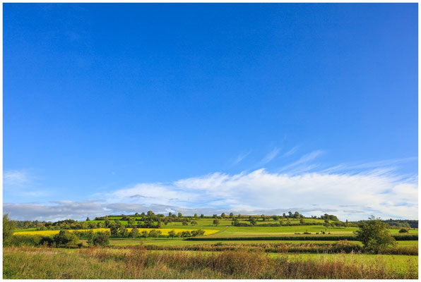 Landschaft im Heudorfer Ried 7294