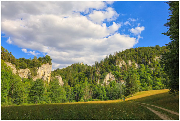 Kalksteinfelsen mit Ruine Kallenberg 5997