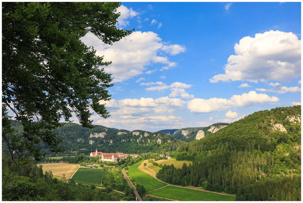 Blick auf die Erzabtei Beuron 5890