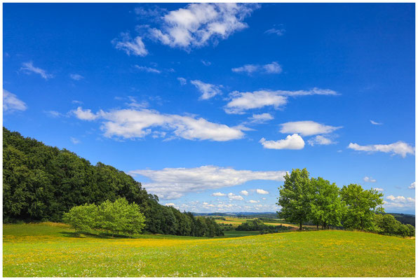 Sommerliche Landschaft bei Homberg 6478
