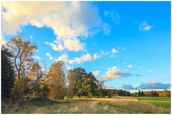 Herbstliche Landschaft Irndorfer Hardt 8382