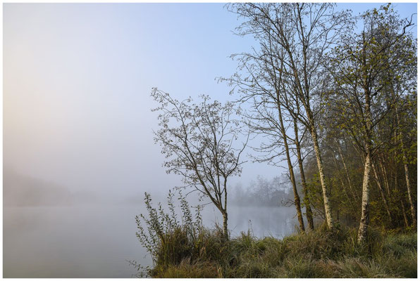 Uferlandschaft Schwackenreuter Seen 8710