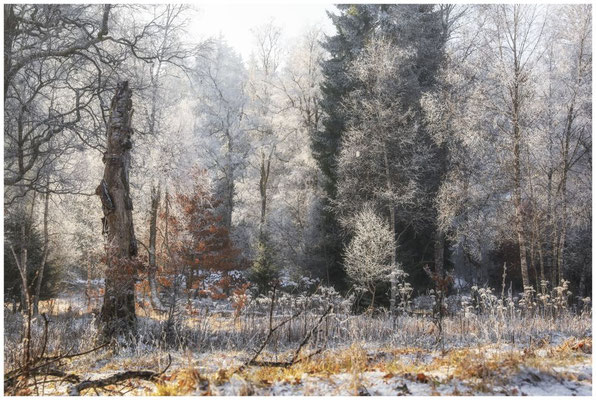 Winterlandschaft Irndorfer Hardt 9590