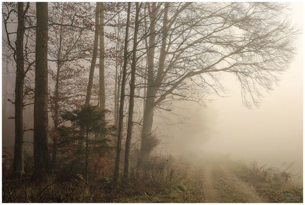 Waldweg 9430