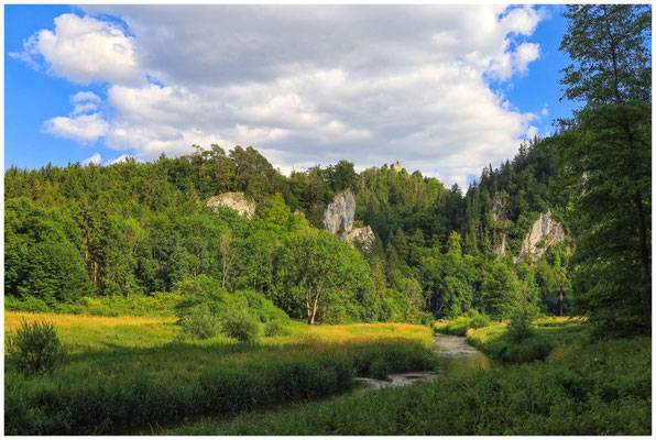 Die Donau bei Fridingen mit Blick auf die Ruine Kallenberg 5989
