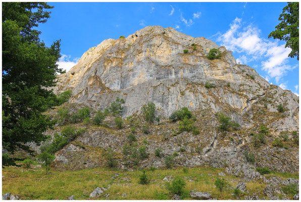 Jurakalksteinfelsen im Naturpark Obere Donau 5968