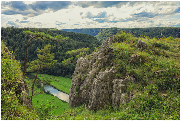 Blick vom Schaufelsen auf die Donau 8010