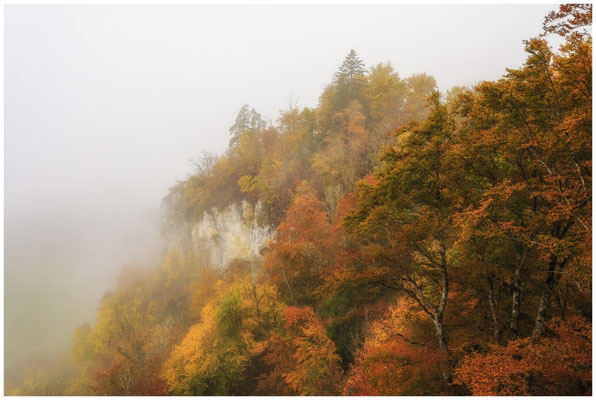 Nebel, buntes Laub und Felsen 8533