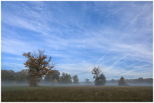 Herbstmorgen im Irndorfer Hardt 7805