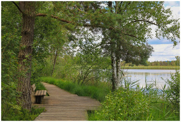 Bohlenwege am Riedsee im Wurzacher Ried 6170