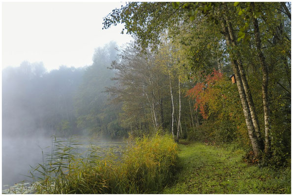Uferlandschaft Schwackenreuter Seen 8700