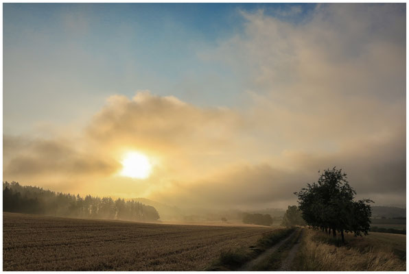 Sommermorgen mit Nebelresten über dem Hegau 0487