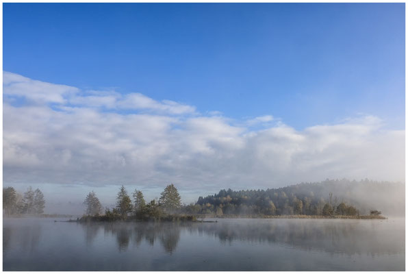 Uferlandschaft Schwackenreuter Seen 8825