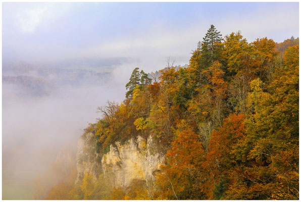 Buntes Laub und Felsen im Donautal 8631