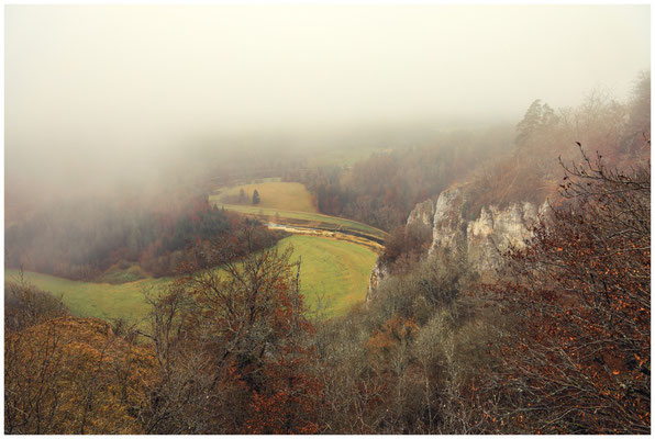 Blick vom Aussichtspunkt Burgstall ins Donautal 0301