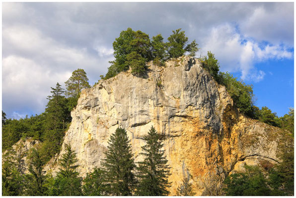 Jurakalksteinfelsen im Naturpark Obere Donau 6019