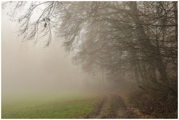 Waldweg bei Stockach 9402