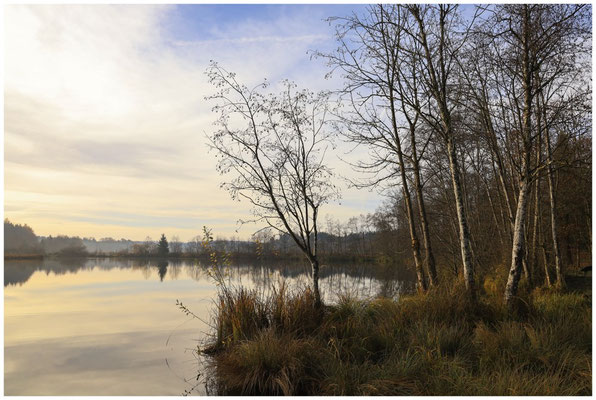 Uferlandschaft Schwackenreuter Seen 9240