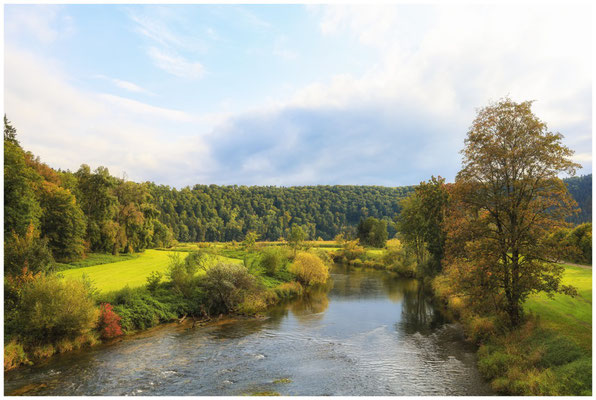 Die Donau bei Inzigkofen 7396