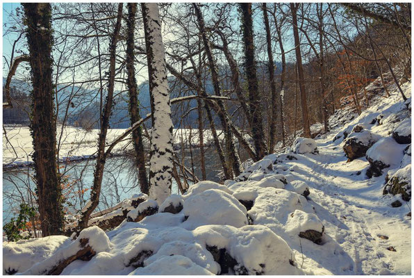 Wanderweg entlang der Donau 5813