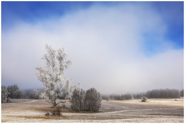 Winterlandschaft Irndorfer Hardt 9504