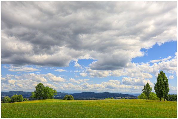 Sommerliche Landschaft bei Homberg 6462